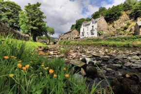 Plas Tan y Graig B&B Guest House Beddgelert